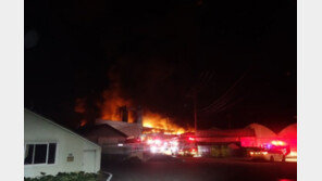 파주 대리석 공장 불 축사로 번져 돼지 900마리 소사