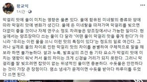 황교익 “‘백종원의 골목식당’  방송 보니 더 가관…맛은 궁극적으로 뇌에 있다”
