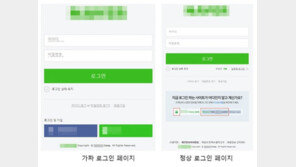 포털로 위장한 피싱메일 기승…로그인하면 개인정보 유출