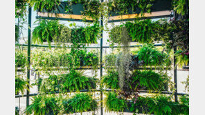 여의도 빌딩숲속 ‘소확행’ 정원박람회…가을소풍 제격