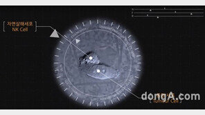 GC녹십자랩셀, 자연살해세포 활용한 림프종 치료제 임상 돌입