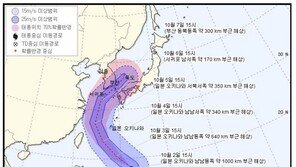 태풍 콩레이, 하필 6~7일 부산에…부산영화제 야외상영 초비상