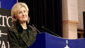 나토주재 美대사 “러 미사일 제거” 발언 논란