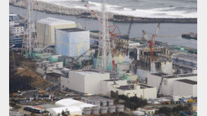 서울서 유통 버섯·블루베리·견과·고사리서 방사능 검출