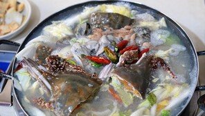 관광객이 뽑은 충남 대표 관광지와 먹거리는?