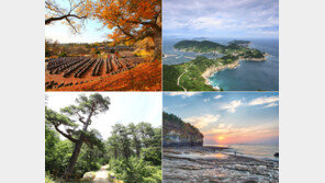 [김재범 기자의 투얼로지] 멘토와 함께 떠나자, 영화·TV 명소 속으로…