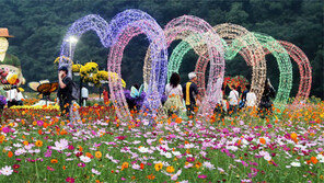 청주시 ‘청원생명축제’ 5일 팡파르