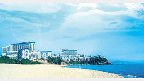 대명리조트, 창립기념일 정회원권 특별 분양 外