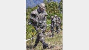 남북공동유해발굴 앞두고 DMZ 지뢰 제거