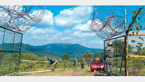 땅속 3m까지 샅샅이… 한발 한발 긴장속 ‘전쟁의 흔적’ 제거