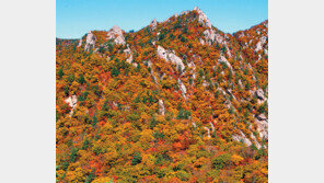설악산 단풍 유혹