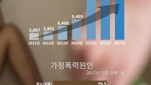 가정폭력 보호사건 6년새 6배 급증…배우자·동거인 폭력 82%