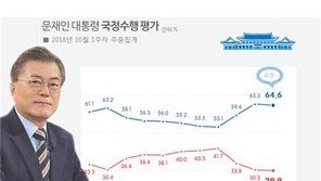 文대통령 국정지지율 64.6%…‘한반도 평화’ 기조 60%대 유지