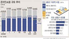국민 18%가 온라인으로 쇼핑…거래액 9조대 ‘사상 최고’