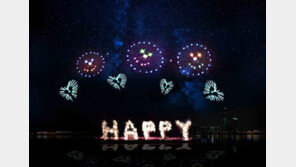 세계불꽃축제 태풍에 ‘비상’…한화 “연기·취소 여부 5일 확정”