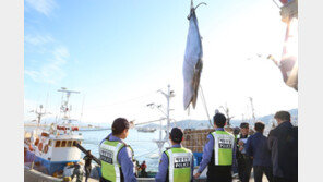 태안 격렬비열도서 즉은 밍크고래 그물에 걸려