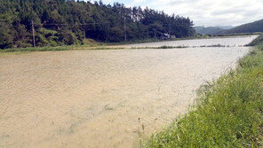 태풍 콩레이 북상…수확기 농작물 피해 막으려면?