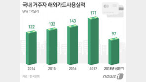 5년간 해외서 2331명이 3.2조 카드결제…1인당 16억