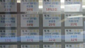 “집값 담합 신고하세요” 정부, 집주인·중개업자 시세 조종 단속…신고 방법은?