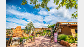 말과 음악이 만났다…경마장서 즐기는 가을축제