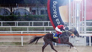 스타 경주마 총출동…장거리 최강마 가린다