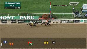 케이닉스 ‘미스터크로우’, 경마 올림픽 출전권 획득