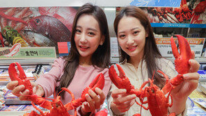 “캐나다 랍스터 맛있어요”