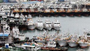 [날씨] 태풍 ‘콩레이’로 강한 비바람…제주 최고 500㎜