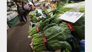 ‘채솟값·휘발유 죄다 올랐다’…소비자물가 2% ‘육박’