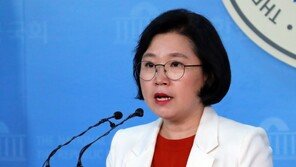 방북 김현 前의원, 10·4선언 기념행사 조기 귀환…무슨 일?