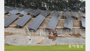 친환경 에너지 생산? 부동산 투자?…‘태양광 발전’ 신청 쇄도