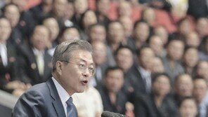 [전문] 文대통령 “재외동포는 대한민국이 가진 큰 힘”