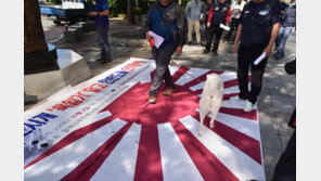 ‘욱일기 고집’ 日, 제주 국제관함식에 해상자위대 함정 불참 통보