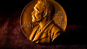 노벨평화상 후보 개인216·단체115…경쟁률 331대1, 상금 11억4000만원