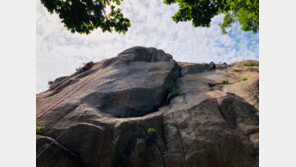 ‘8년 경력’ 50대女, 암벽 등반 중 생명줄 풀고 이동하다 추락사