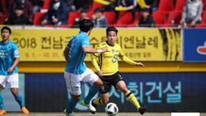 전남, 음주운전 사고 박준태 관련 사과