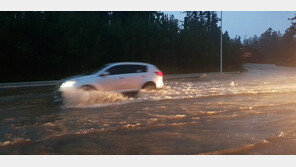 도로·주택 잠기고 정전까지…제주 태풍 콩레이 피해 속출