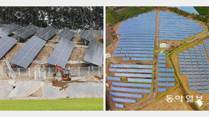 지자체들 “업무마비” 몸살… 환경훼손-주민갈등도 증폭