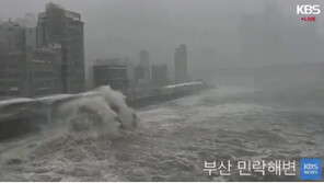부산 태풍 콩레이 접근, 피해 신고만 100건↑…“건물 삼킬 듯한 파도”
