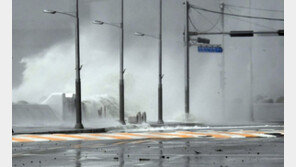 태풍 영향 부산 2만여가구 정전피해… 한전 복구 중