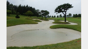 KLPGA 하이트진로 챔피언십, 태풍 영향으로 3R 취소…54홀 축소