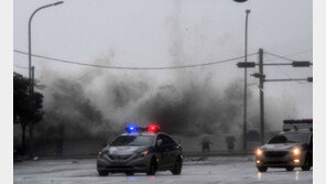 태풍 ‘콩레이’ 지나갔지만…부산, 정전사태 등 강풍 피해 속출