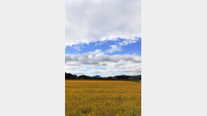 태풍 지나간 7일 전국 ‘맑음’…찬 바람에 쌀쌀