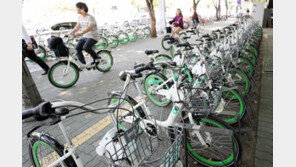 “따릉이 타려고 헬멧 구매?”…의무화 규정, 실효성 있나