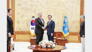 美 폼페이오 “北과 생산적 대화 나눠…한 걸음 내디뎠다”