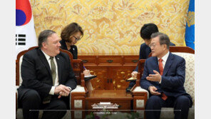 폼페이오 “북미 실무협상단, 비핵화·북미회담 조속 협의”