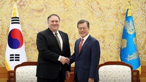 폼페이오 “북미정상회담 조속 개최”…文대통령 평화로드맵 탄력