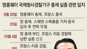 베이징 도착후 사라진 인터폴 총재… 中공안에 체포된 듯