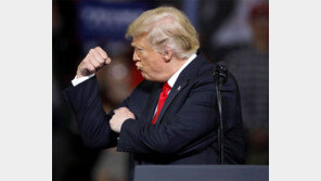 “트럼프, 北미사일발사 자료화면 보고 실제 상황으로 착각 ‘큰일났다’ 기겁”