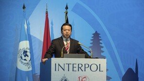 中 “멍훙웨이 인터폴 前총재 뇌물수수 혐의 조사중”